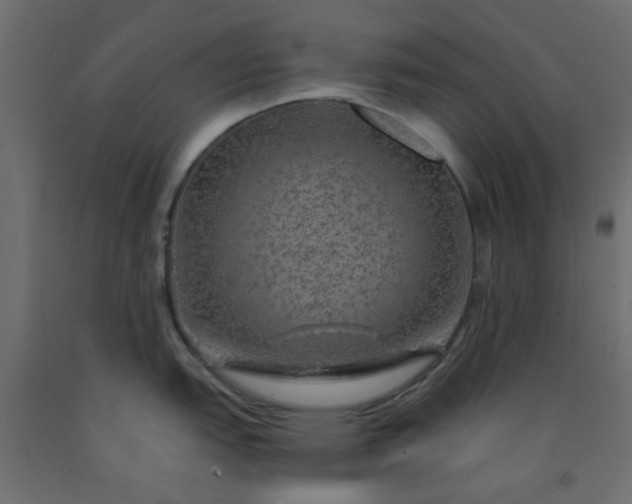 X0000093101151200710101533