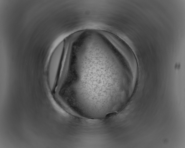 X0000093101152200710101533