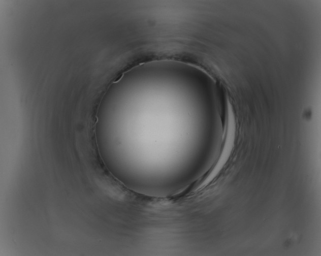 X0000093101153200710101532