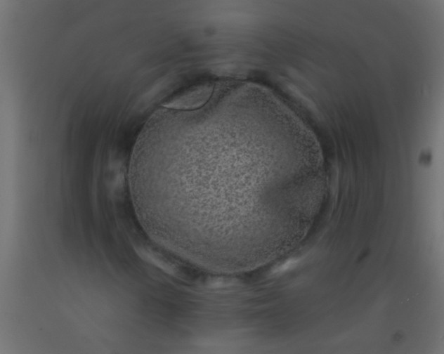 X0000093101154200710101532