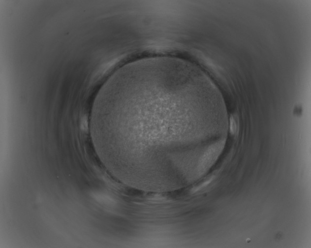X0000093101155200710101532