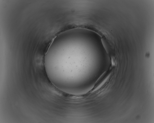 X0000093101156200710101532