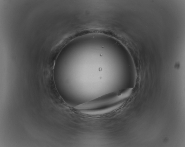 X0000093101157200710101532