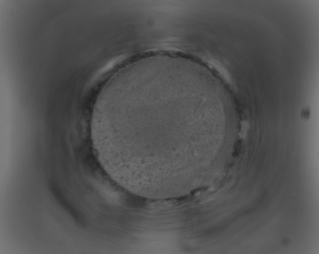 X0000093101159200710101532