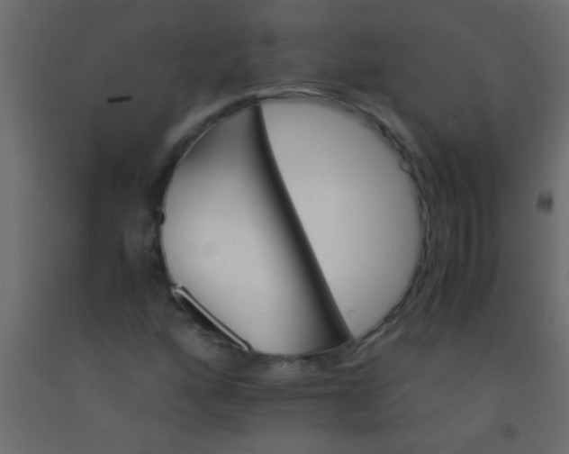 X0000093101160200710101531