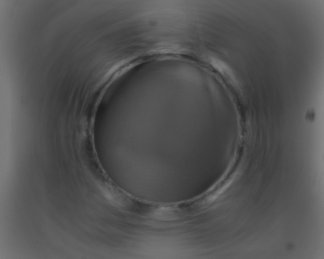 X0000093101161200710101531