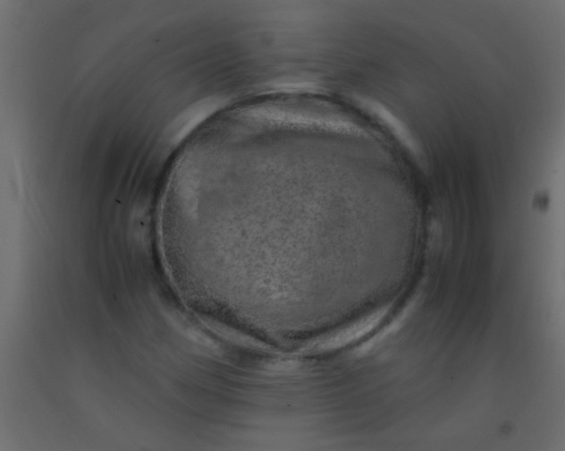 X0000093101162200710101531