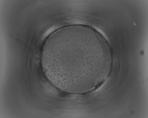 X0000093101163200710101531