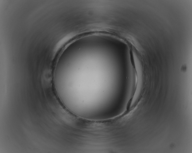 X0000093101164200710101531
