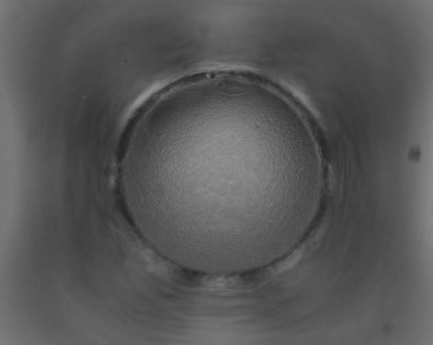 X0000093101165200710101531