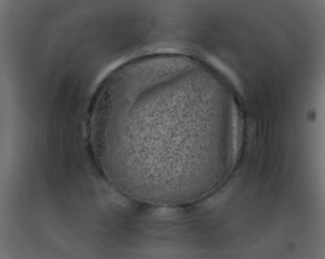 X0000093101166200710101531