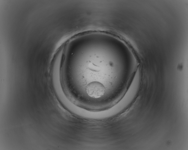 X0000093101168200710101531