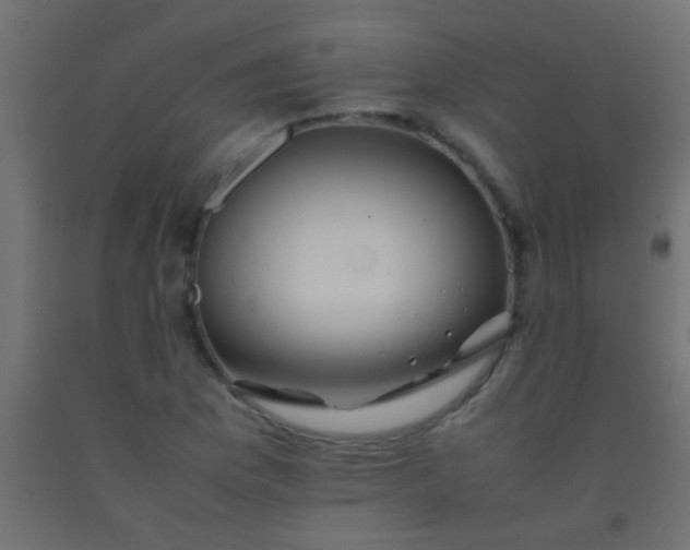 X0000093101169200710101531