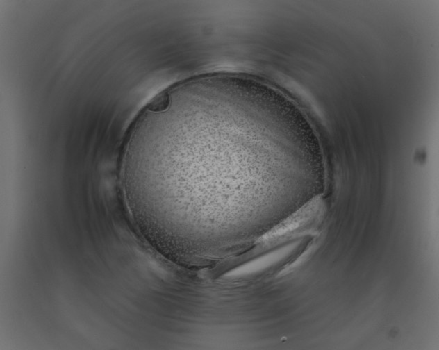 X0000093101170200710101531