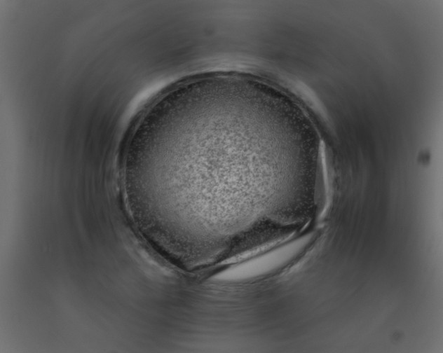 X0000093101172200710101531