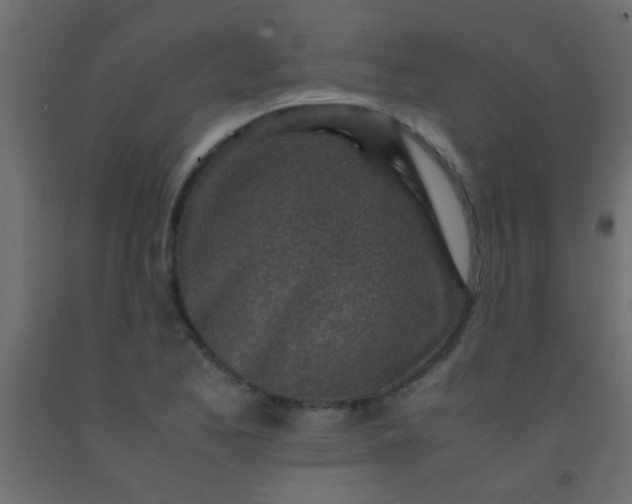 X0000093101173200710101531