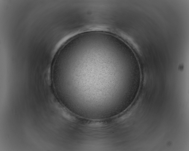 X0000093101174200710101531