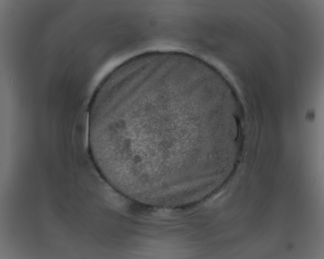 X0000093101175200710101531