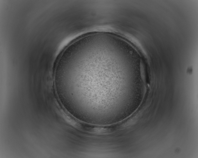 X0000093101176200710101531