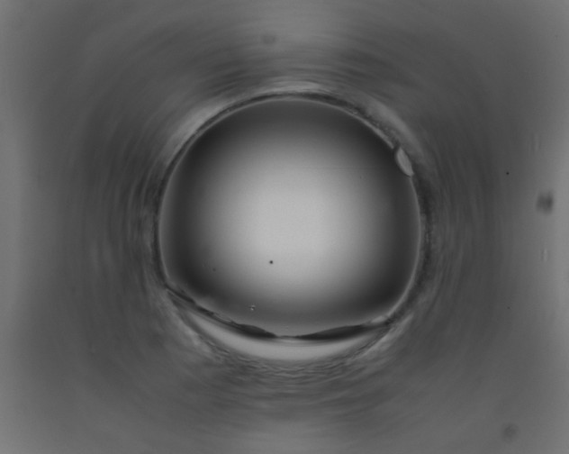 X0000093101177200710101531