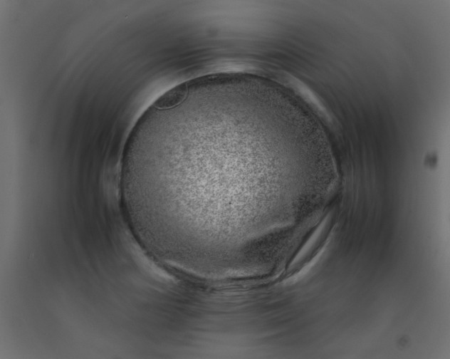 X0000093101178200710101531