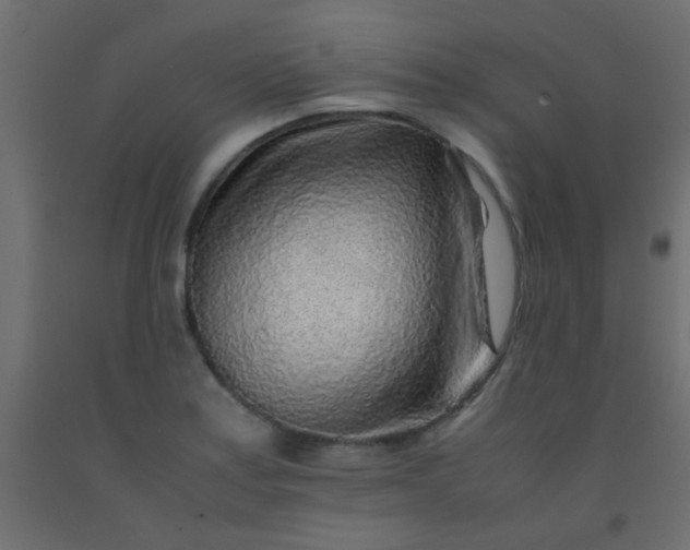 X0000093101179200710101531