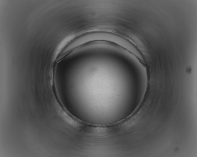 X0000093101180200710101531