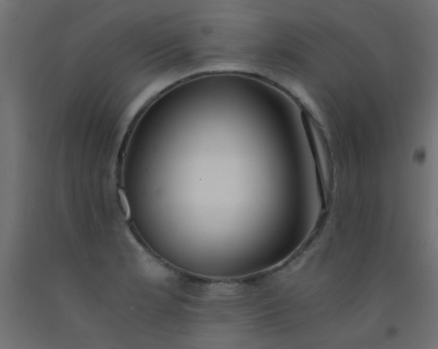 X0000093101181200710101531