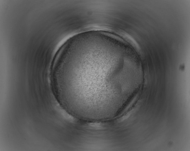 X0000093101182200710101531