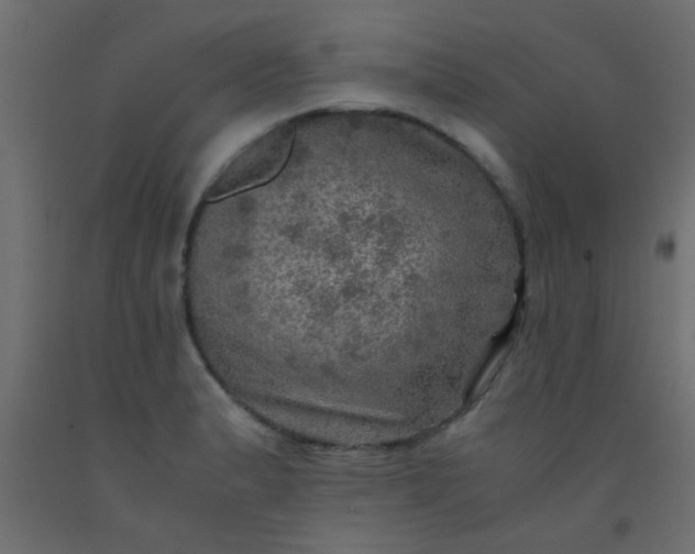 X0000093101183200710101531