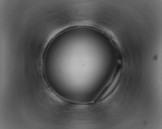 X0000093101184200710101531