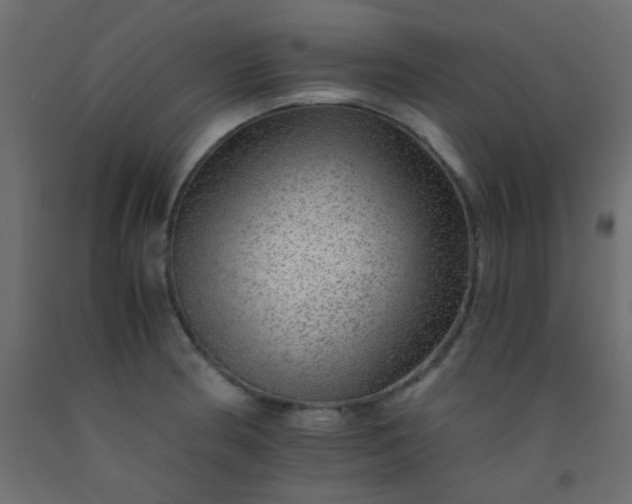 X0000093101186200710101531