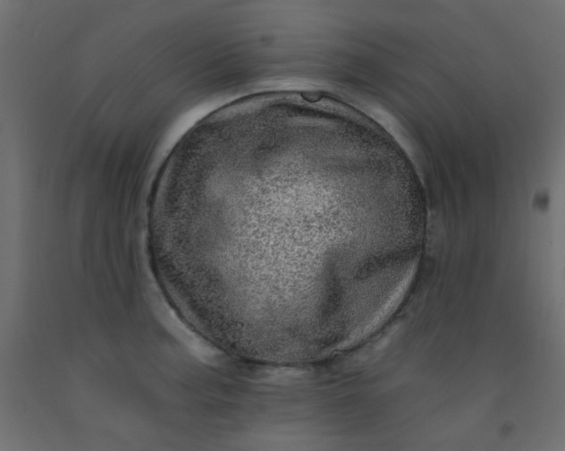 X0000093101187200710101531
