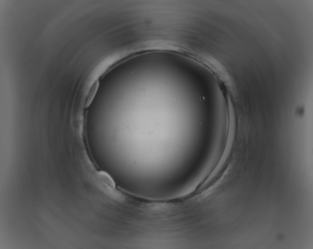 X0000093101188200710101531