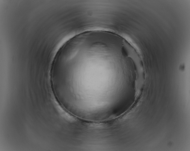 X0000093101189200710101531