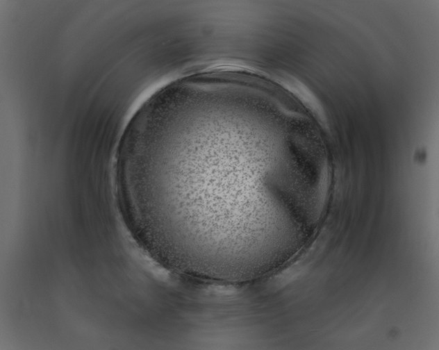 X0000093101190200710101531