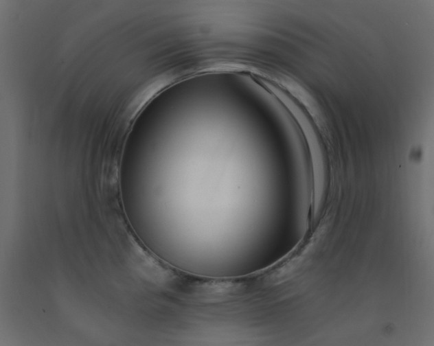 X0000093101193200710101531