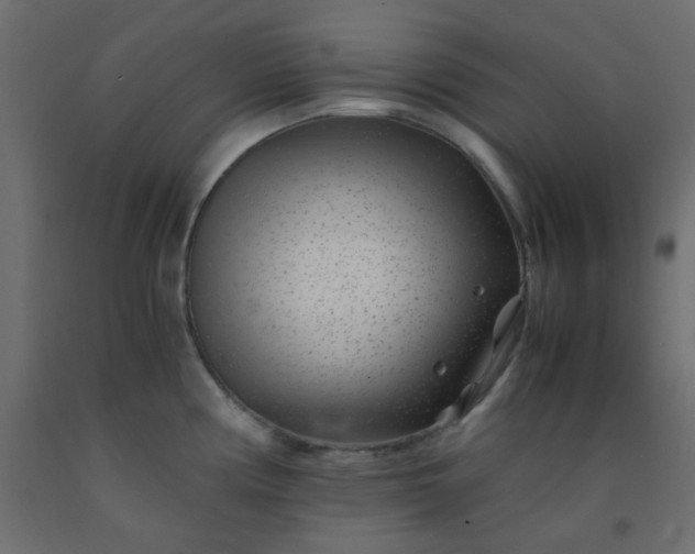 X0000093101194200710101531