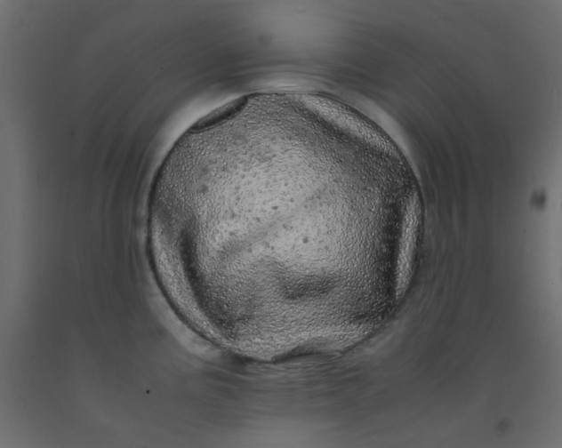 X0000093101195200710101531