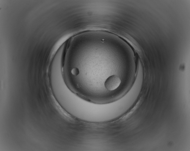 X0000093101196200710101531