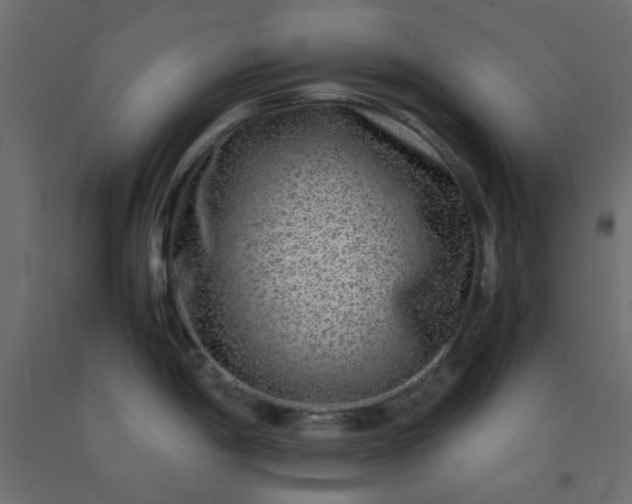 X0000093101198200710101531
