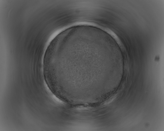 X0000093101199200710101531