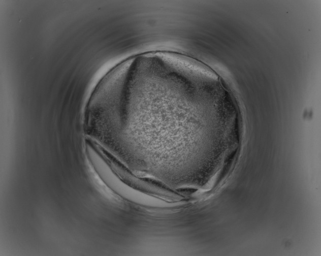 X0000093101200200710101531