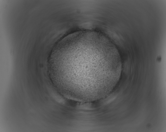 X0000093101201200710101530
