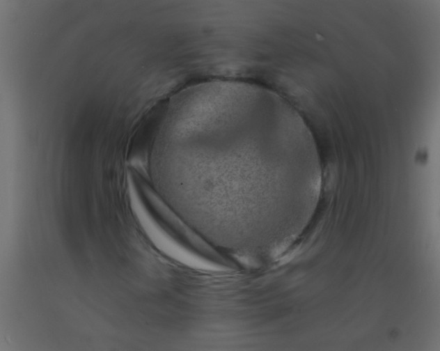 X0000093101202200710101530