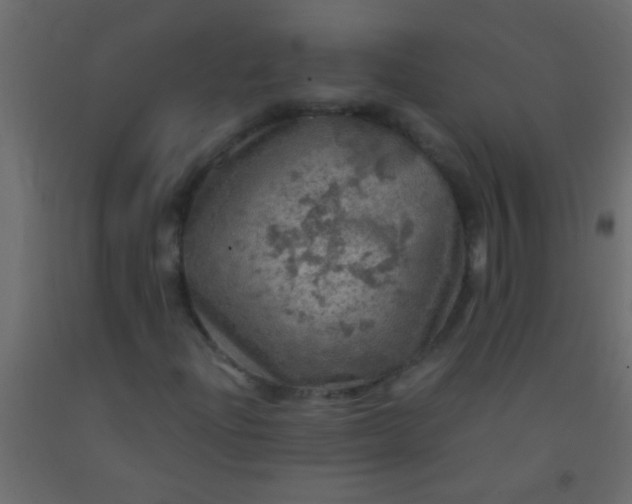 X0000093101204200710101530