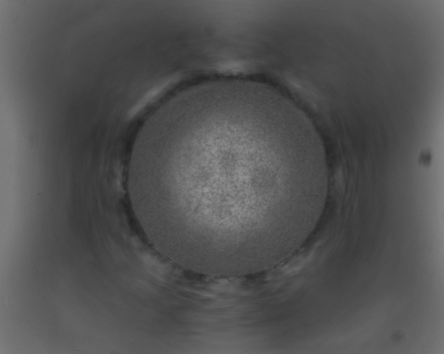 X0000093101205200710101530