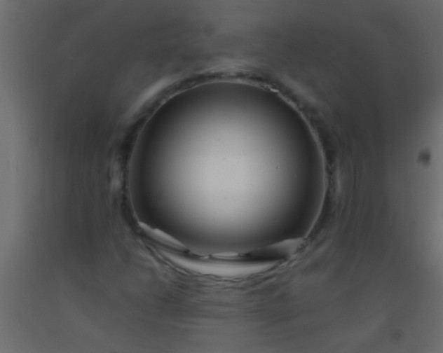 X0000093101206200710101530