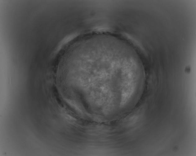 X0000093101207200710101530