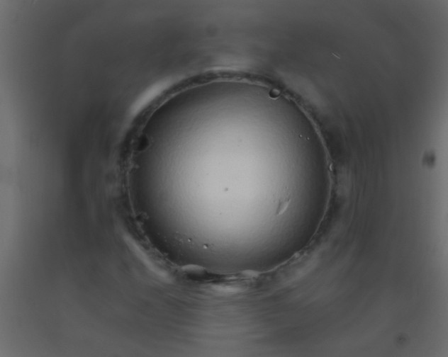 X0000093101208200710101530